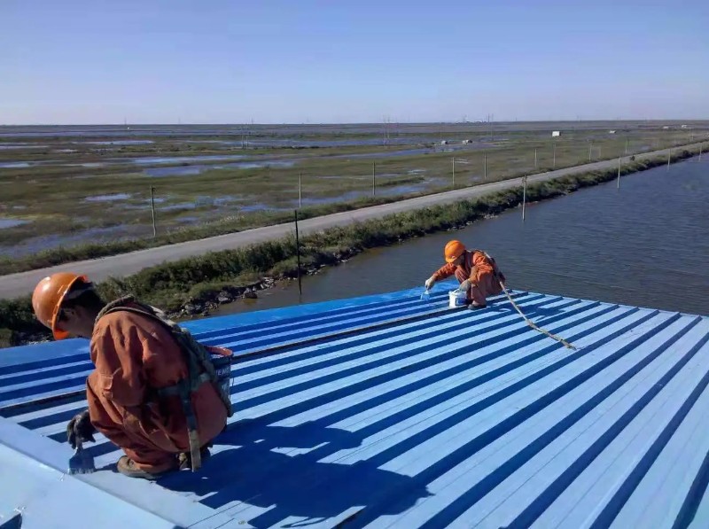 鲤城钢结构屋面漏水原因